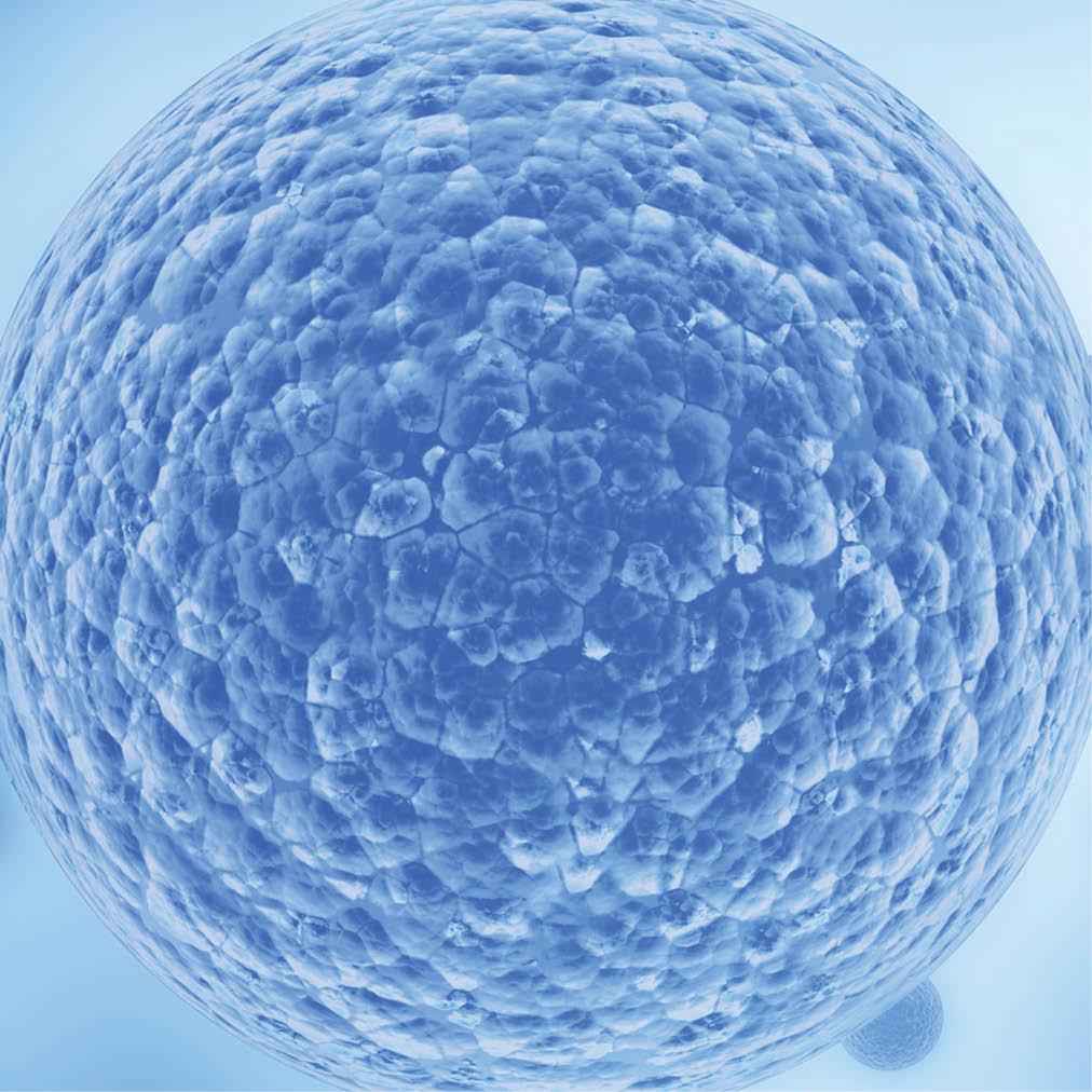 Dp Dermaceuticals Exosomes 2